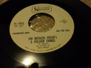 161...RARE 60'S PROMO GARAGE ROCK...THE RESTLESS FEELIN'S...A MILLION THINGS...