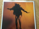 The Last Shadow Puppets - Everything You've Come To Expect (LP, Vinyl)