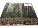 Twink Think Pink 2019 Vinyl RSD Record Store Day Psych Space Rock Sealed Ltd New