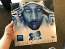 RZA “Birth of a Prince” SMOKE COLORED 2x LP (RSD 2019 wu-tang clan)