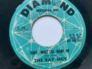 The Ray Men 45 ROCKABILLY Garage 