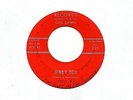 Gail Dawn 45 Dinky Doo - Great Private 60's Teen Dance Pop - HEAR