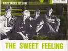 The Sweet Feeling - Emptyness of Love - Freakbeat Mod Garage Psych 45 vinyl 1967