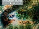 PINK FLOYD “A Saucerful of Secrets” LP RSD 2019 RECORD STORE DAY  IN HAND