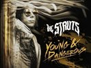 The Struts Young & Dangerous NEW RSD 2019 LP Hand Numbered #403/1500 FREE S/H