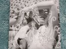 Björk - Vespertine Limited Edition White Vinyl LP One little Indian
