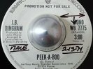 SWEET SOUL BALLAD J.B. BINGHAM Peek-a-boo WARNER DEMO LISTEN