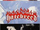 Hatebreed Satisfaction Is The Death Of Desire STARBURST Vinyl LP Sealed Ltd/250