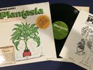 Mort Garson - Mother Earth's Plantasia LP 1976 Moog Synth EX Homewood booklet