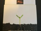 Balance and Composure Tigers Jaw Split LP Green Vinyl Title Fights Wonder Years
