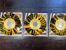 Limited Sun Ray Splatter 7