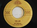 DOO WOP 45 RPM RECORD BY-THE CADILLACS-YOU ARE / ZOOM