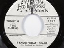 Northern Soul 45 TOMMY G & CHARMS I Know What I Want HOLLYWOOD VG++ promo HEAR