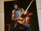 BRUCE SPRINGSTEEN  - WITH A LITTLE HELP FROM MY FRIENDS -   LP   FC001  LIMITED