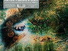 Pink Floyd - A Saucerful Of Secrets 1 x 180g Mono Black Vinyl LP RSD 2019