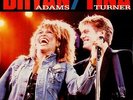 BRYAN ADAMS & TINA TURNER It's Only Love Uk 12