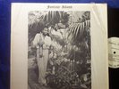 MORRIS WILSON LP 
