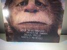 Where The Wild Things Are Motion Picture Soundtrack Karen O LP Vinyl OOP