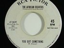 African Beavers 