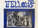 THE FELLOWS Evelin / Und de Party geht weida * OBSCURE 60s AUSTROPOP / BEAT 7“