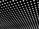 BEACH HOUSE ***Bloom **BRAND NEW RECORD LP VINYL