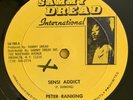PETER RANKING - SENSI ADDICT - SAMMY DREAD ( DIGI ROOTS 12 )