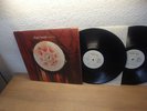 PATTI SMITH / Twelve / 2-LP 1ST PRESS / MINT MEGA RAR