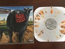 Blink 182 Dude Ranch Yellow Brown Splatter on Clear Vinyl LP blink 182