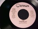 DETROIT 80s ELECTRO FUNK DANCE SCRATCH MIX PROMO ONLY 45 Passion City