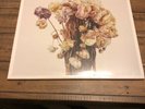 Sleater - Kinney No Cities To Love Barnes & Noble Vinyl Lp Record W/ Signed Art