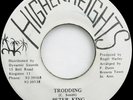 Peter King TRODDING Higher Heights DIGI ROOTS 45 Ex