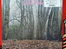 THINK PINK by TWINK Record Store Day Release 2019 DBL Pink Vinyl LP Ltd 1000...