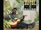 VINYL LP Muddy Waters - Muddy Brass And The Blues / Chess 1989 PROMO NM