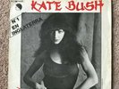 Kate Bush ?– Wuthering Heights = Cumbres Borrascosas - 7