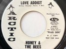 Honey & The Bees 