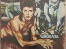 David Bowie 