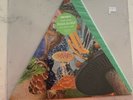 Modest Mouse Poison The Well Green Triangle Vinyl RSD 2019 Release