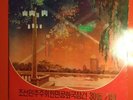 In Commemoration Of 30th DPRK Birthday - North Korean Gramophone Record 10