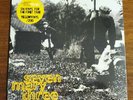 Seven Mary Three American Standard YELLOW Vinyl /200  Record Store Day RSD 2019