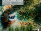 Pink Floyd - A Saucerful Of Secrets (RSD 2019) LP