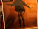 The Last Shadow Puppets : Everything You've Come to Expect Vinyl (2016) Unop
