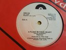 PROTEX - A Place In Your Heart - IRISH PUNK 7