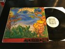 MALIBRAN Wood of Tales. Italian prog with multi-fold insert