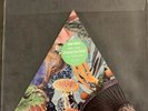 MODEST MOUSE POISON THE WELL RSD 2019 Record Store Day Triangular Green 7