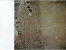 BRIAN ENO WITH DANIEL LANOIS & ROGER ENO Apollo  12