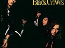 Universal Music Group The Black Crowes - Shake Your Money Maker  [LP]