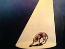 RINO GAETANO Mio fratello e' figlio unico lp ORIGINALE RARISSIMO VERY RARE