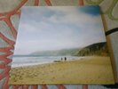 JESU / SUN KIL MOON - 30 SECONDS TO THE DECLINE OF PLANET EARTH - VINYL LP