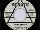 Garage Fuzz 45 - Basement Wall - Never Existed - Senate - mp3