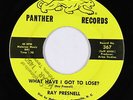 C&W Bopper 45 - Ray Presnell - What Have I Got To Lose? - Panther - mp3